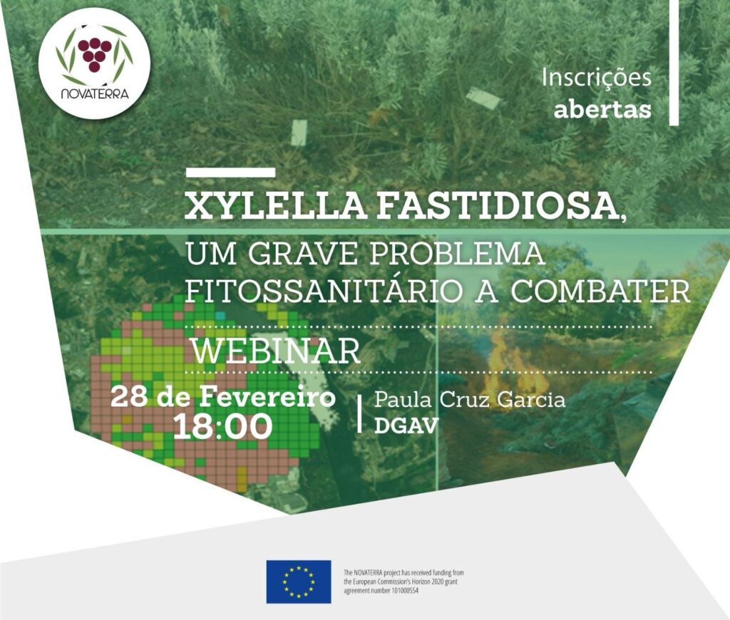 cartaz do Webinar “Xylella fastidiosa - Um grave problema fitossanitario a combater” | 28 de fevereiro