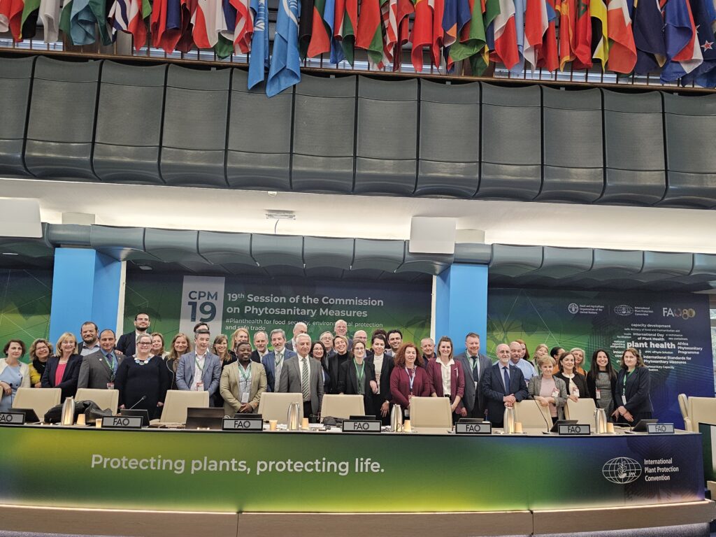 Foto: delegação da UE e dos Estados Membros na CPM19