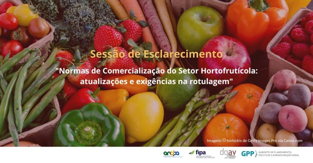 Foto de frutas e legumes