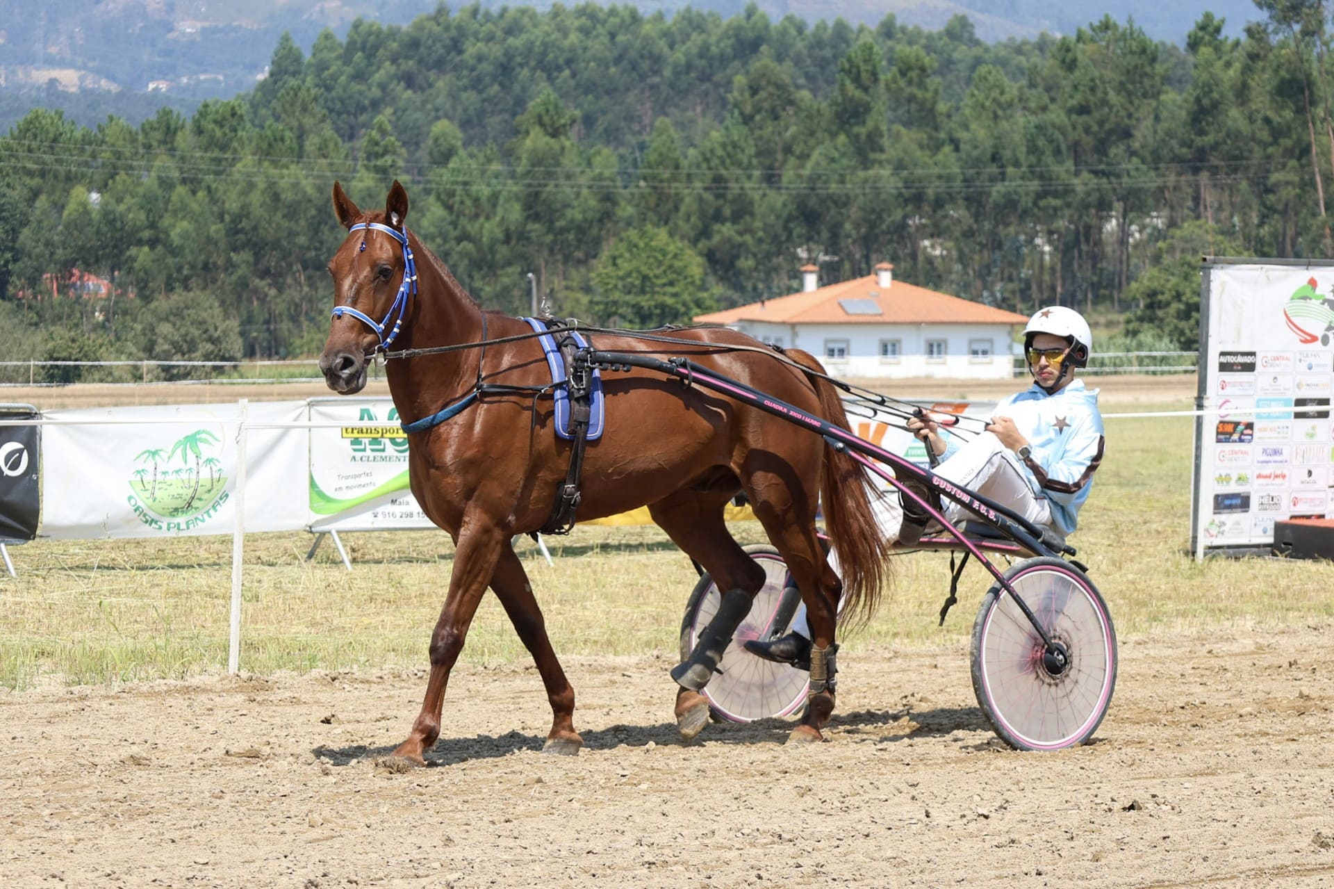 11.ª Jornada Campeonato Nacional de Trote e Galope 2025