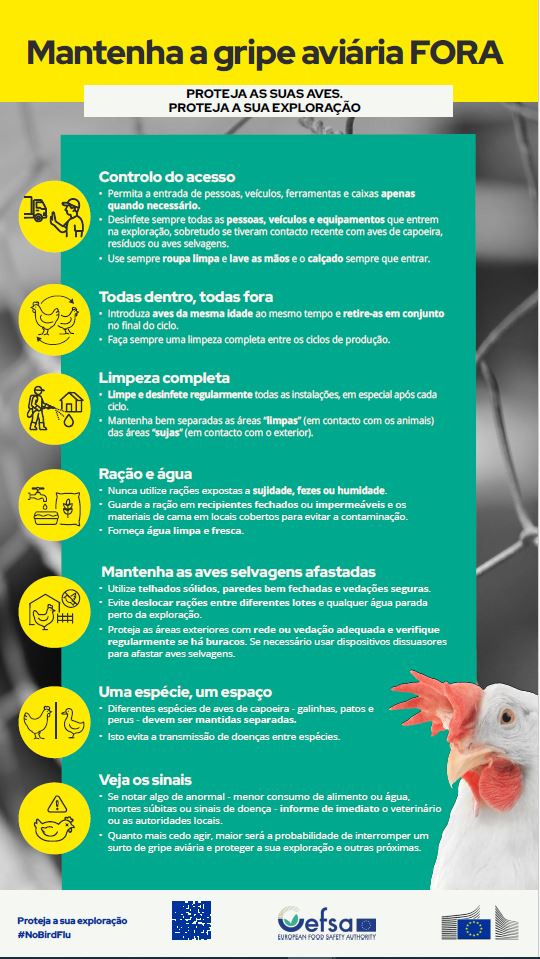 Infografia: Mantenha a gripe aviária Fora | Campanha #NoBirdFlu