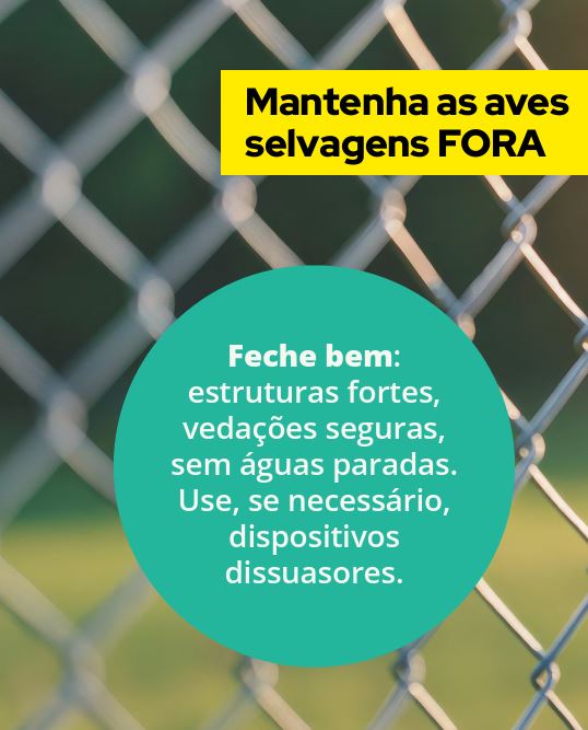 Poster da Campanha NoBirdFlu - Mantenha as aves selvagens fora
